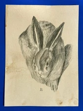 Alberto Durero (Handmade) Drawing on antique paper Signed and Sealed.