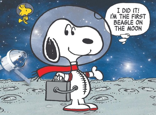 Rompecabezas Ceaco; Moon Beagle; 100 piezas 1663-11 - Imagen 2 de 3