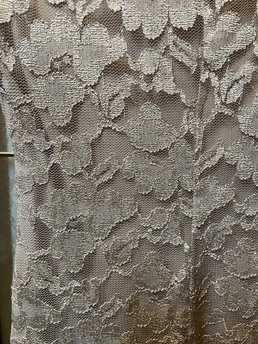 DRESS BARN COLLECTIONS LADIES SIZE 6 CHAMPAGNE LACE LINED SLEEVELESS DRESS - Picture 10 of 10