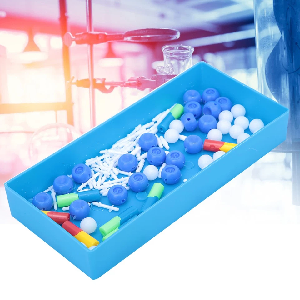 Modelo de ADN Molecular Biológico Modelo de ADN Doble Educativo Científico - Imagen 2 de 4