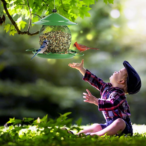 Bird Feeder for Outdoor, Squirrel Proof Metal Bird Feeder, Small Wild Bird Fe... - Picture 6 of 9