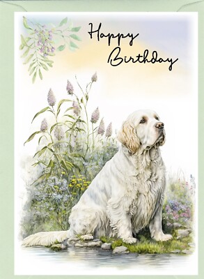 Clumber Spaniel Hund Geburtstagskarte (4''''x 6'''') - innen leer - von Starprint