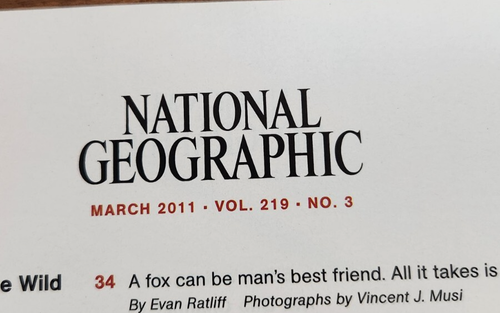 National Geographic Vol. 219 No. 3 Designing The Perfect Pet Magazine March 2011 - Picture 3 of 8