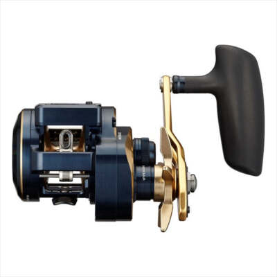 リール Daiwa SALTIGA IC 300H-L SJ s-l400.jpg
