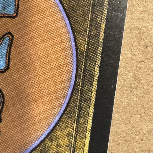 Magic The Gathering ~ 2x ~ Bosque #196 ~ Rivals of Ixalan ~ Tierra Básica ~ Inglés ~ Casi Nuevo - Imagen 3 de 8