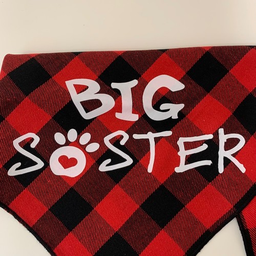 Red & Blue Dog Bandanas "Free Kisses, Big Brother, Birthday Boy" - Bild 5 von 11