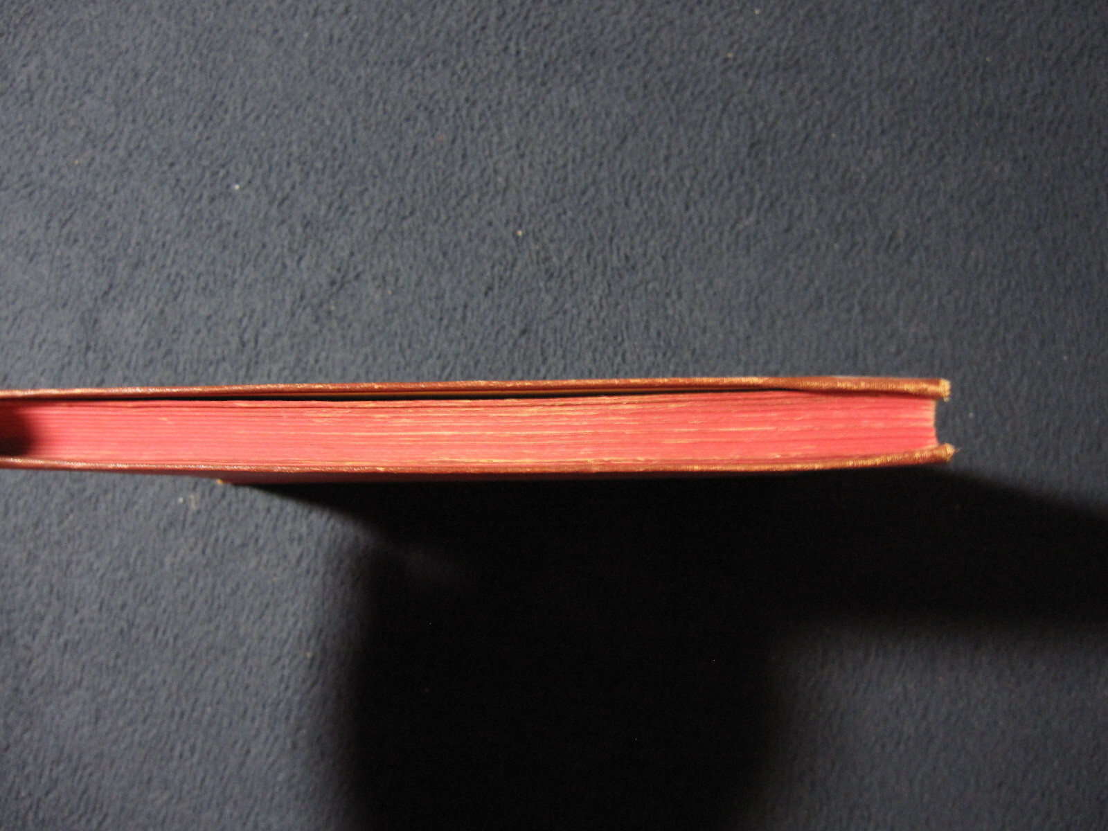 Picture 8 of 8