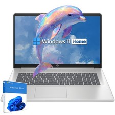 HP 17.3" Laptop computer Win11Pro 2.7 4.3GHz AMD Ryzen 5-7430U 64GB RAM 2TB SSD