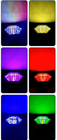 Bild 8 von 8