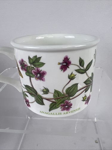 Portmeirion Botanic Garden Broom Cytisus Scoparius Drum Coffee Cup & Saucer - Picture 6 of 12