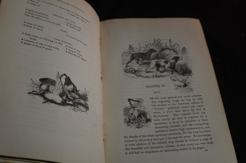 1863 The American Sportsman, Notes on Shooting & the Habits of the Game Birds - Picture 8 of 12