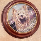 Vintage Yorkshire Terrier "Daisy"Plate wooden frame Paul Doyle Danbury Mint