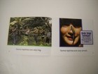 Picture 3 of 12