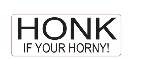 HONK IF YOU'RE HORNY Funny Car Stickers Joke Decal 180x70mm - Picture 4 of 4