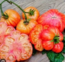 Old German Tomato 25 Seeds Heirloom Non-GMO