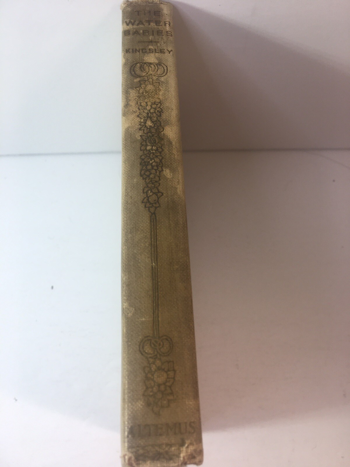 Picture 2 of 14
