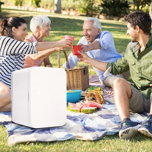 8L Mini Fridge Portable Table Top Electric Cooler Ice Box Car Home UK - Picture 15 of 16