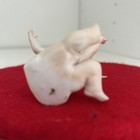 Bild 8 von 10