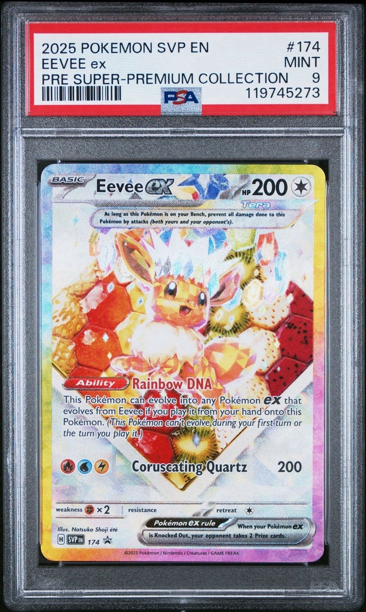 【PSA10】イーブイ プロモ カジュアルバトル/Eevee PROMO Eevee 198/SV-P Casual Battles GYM PROMO Pokemon Card
