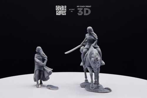 Bloody Elf Maiden - Foot&Mounted Davale Games 3D Printed With High Quality Resin - Picture 10 of 10