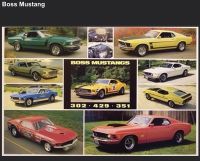 WOW!! Boss Mustang 302-429-351 History Out of Print Car Poster Rare