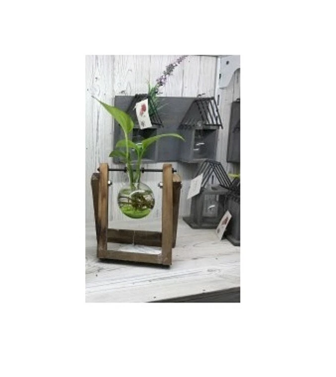 Hydroponische dekorative Blumentöpfe HHD-01 - Bild 1 von 3