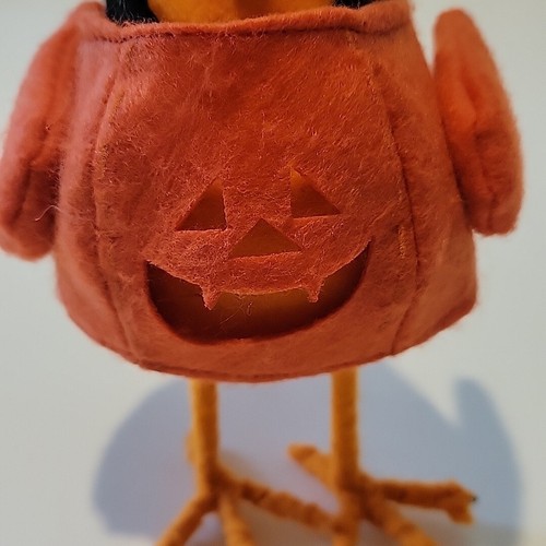 Hyde & Eek Bird FEATHERLY FRIENDS Carver Pumpkin Halloween HUNTINGTON HOME Aldi - Picture 6 of 19