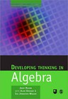 Developing Thinking in Algebra by Sue Johnston-Wilder, John Mason, Alan Graham (Paperback, 2005)