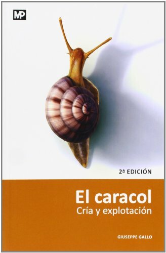 Caracol, El. Cría y explotación - Imagen 1 de 1