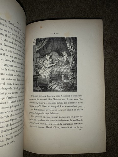 Petrel the Prodigal Son by Alfred Hartmann 1875 Written in French - Picture 12 of 12
