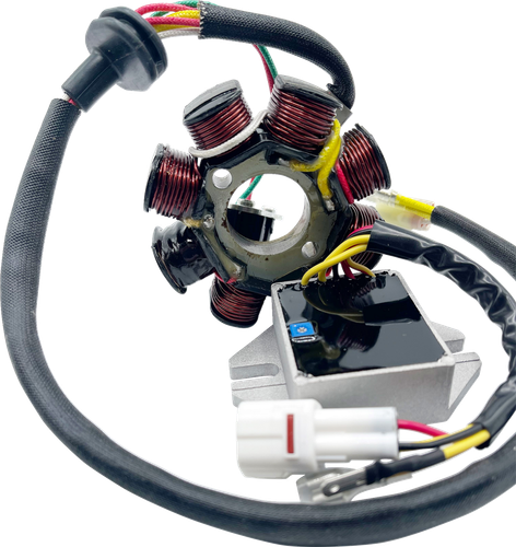 RICK'S MOTORSPORT ELECTRIC - 14-99-900H - Kit de carga compatible con iones de litio para