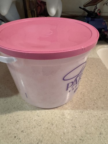 Exclusive 2024 Dollywood Dolly Parton Pink Experience Gallon Popcorn Bucket - Picture 6 of 8