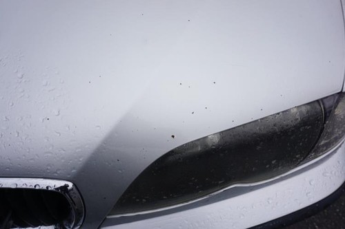 Óptica delantera principal derecha (luces) (faro) BMW SERIE 3 E46 PHASE 2 - Imagen 16 de 20