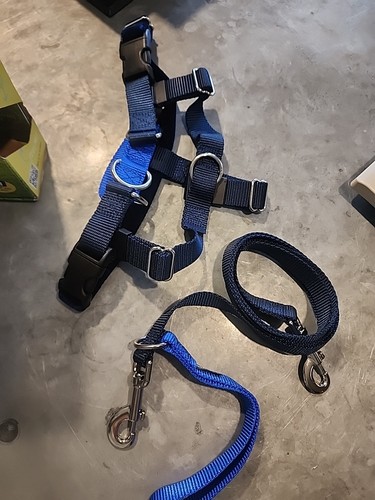 "Arnés y correa 2 Hounds Freedom No Pull 1"" azul talla mediana" Perros 40-60 libras - Imagen 3 de 7