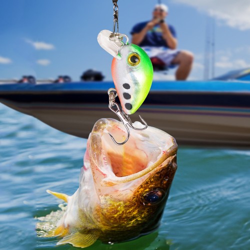 10pcs Mini Crankbait Fishing Lure 3cm 1.6g Floating Wobbler for Trout Perch Bass - Photo 12/12