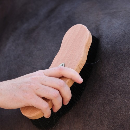 Ezi-Groom Premium Dandy Brush - Picture 5 of 5