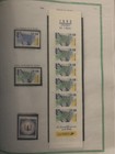 Bild 11 von 12