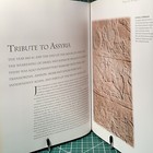 Foto 10 di 12
