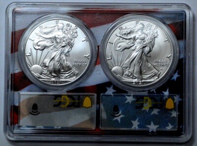 2021年 type1.type2セット イーグル銀貨 PCGS MS70 s-l400.jpg