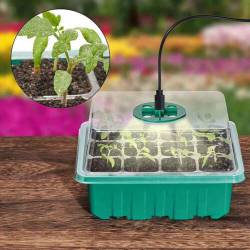 1/5 Pack Seed Starter Trays with Grow Light Adjustable Humidity Germination Kits - Picture 3 of 17