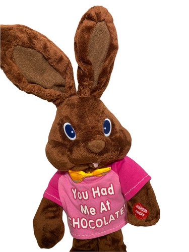 OSTERHASE 14 Motion Schokolade Musical I GOT YOU FEEL GOOD funktioniert NEU - Bild 2 von 5