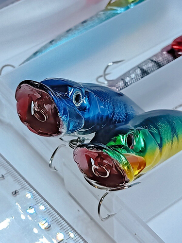 Fishing lures Surface Poppers & tackle box Tarpon, Bass, Murray Cod, Barra Lures - Picture 6 of 13