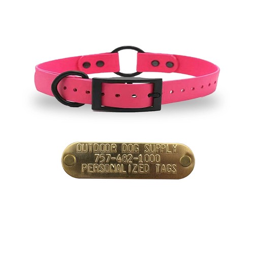 3/4" SoftFlex Beta Mittelring Hundehalsband mit Messing Namensschild - Bild 27 von 38
