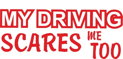 Car Sticker Van Funny Window Bumper Decal My driving scares me too - Picture 6 of 7