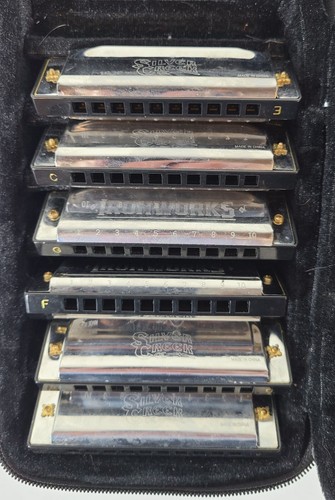 Silver Creek Iron Works Harmonica Juego de 6/7 piezas A C D E F G con estuche FALTA B - Imagen 2 de 3