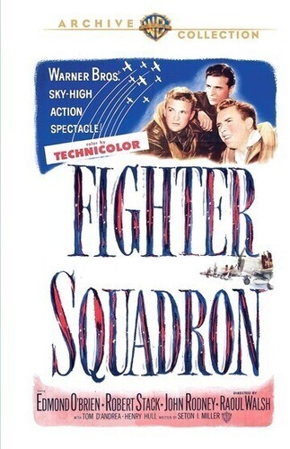 その他 Defenders of the Sky: Airfield [DVD] Fighter Squadron (DVD, 1948) for sale online | eBay