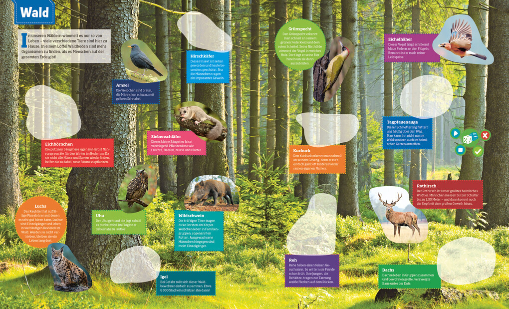 Thumbnail - Bookii® Was Ist Was Stickeratlas Tiere Aus Aller Welt | 2020 | Deutsch