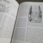 Picture 24 of 24