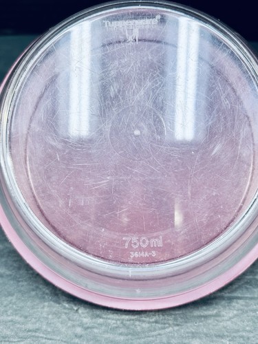 Tupperware Acryl 6 Schüsseln rot Deckel 3445 3446 3447 3448 3449 3450 3614 LESEN - Bild 11 von 24