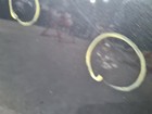 Picture 16 of 24